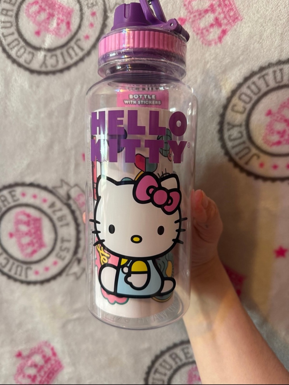 Hello Kitty Pink and Purple Clear Character Water Bottle